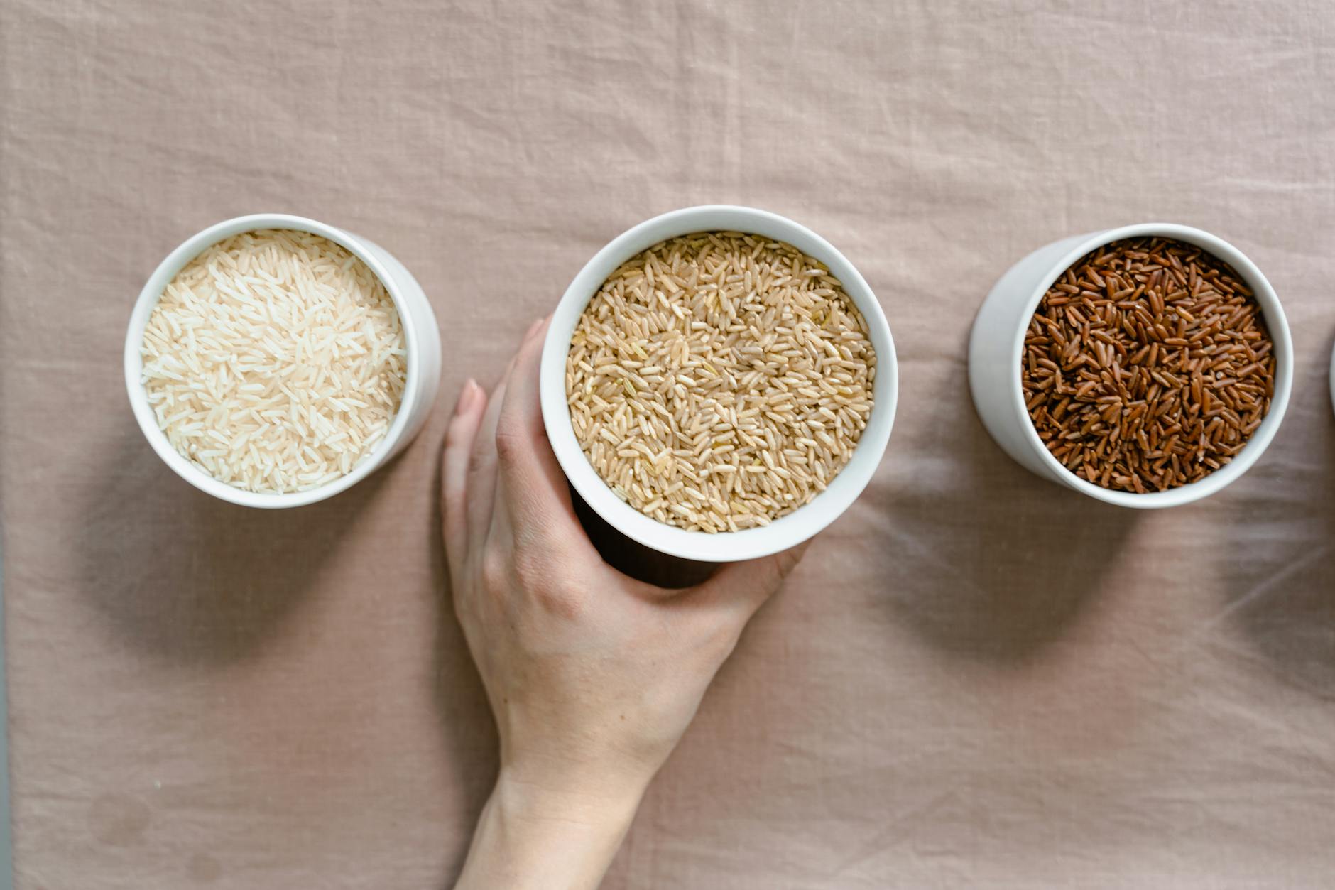 person holding white ceramic bowl with grains